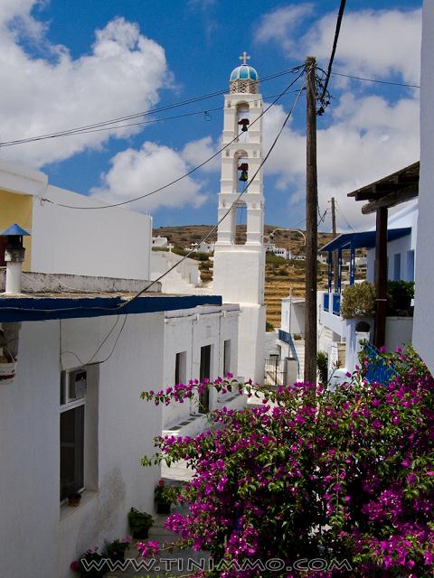 20080728_tinos_012_lr_lr.jpg