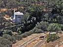 20080730_tinos_085_ps2_lr