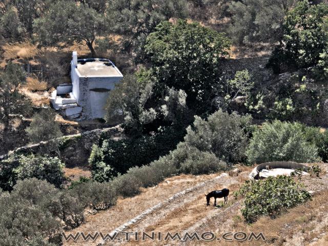 20080730_tinos_085_ps3_lr.jpg