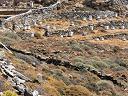 20080730_tinos_069_lr_lr