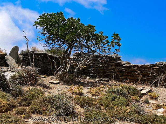 20080729_tinos_027_lr_lr.jpg