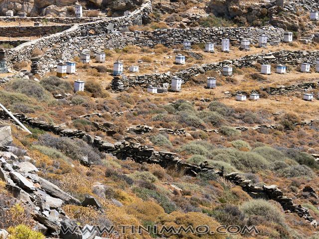 20080730_tinos_069_lr_lr.jpg